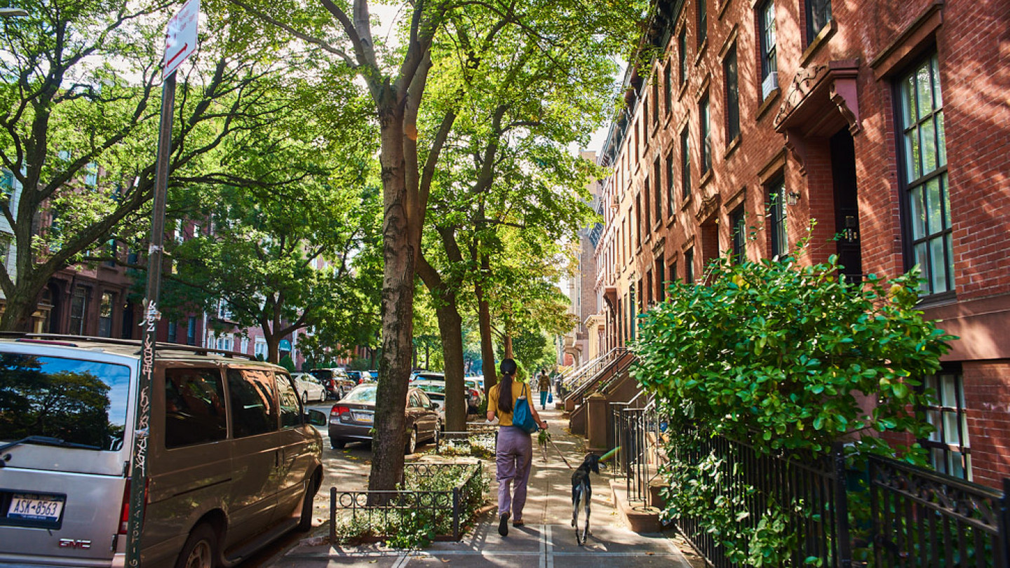 Streets In Brooklyn